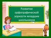 Развитие орфографической зоркости младших школьников