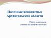 Полезные ископаемые Архангельской области