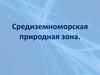 Средиземноморская природная зона