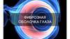 Фиброзная оболочка глаза