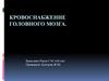 Кровоснабжение головного мозга