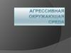 Агрессивная окружающая среда