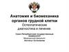 Анатомия и биомеханика органов грудной клетки. Остеопатические диагностика и лечение