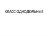 Класс однодольные