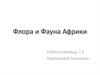 Флора и фауна Африки
