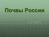 Почвы России