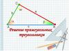 Решение прямоугольных треугольников