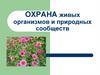 Охрана живых организмов и природных сообществ