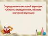 Определение числовой функции. Область определения, область значений функции