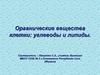 Органические вещества клетки: углеводы и липиды