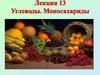 Углеводы. Моносахариды. (Лекция 13)