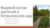 Видовой состав растений в ботаническом саду