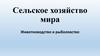 Сельское хозяйство мира. Животноводство и рыболовство