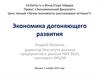 Экономика догоняющего развития