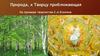 Природа, к Творцу приближающая. На примере творчества С.А.Есенина