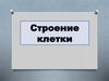 Строение клетки. Основные положения клеточной теории клетка