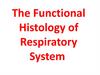 The Functional Histology of Respiratory System