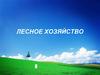 Лесное хозяйство