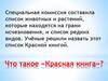 Что такое «Красная книга»
