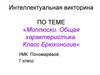 Интеллектуальная викторина «Моллюски. Общая характеристика. Класс Брюхоногие». 7 класс