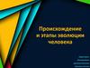 Происхождение и этапы эволюции человека