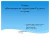 Птицы, обитающие на территории Русского острова
