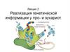 Реализация генетической информации у про- и эукариот