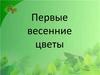 Первые весенние цветы