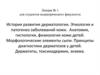 История развития дерматологии. Этиология и патогенез заболеваний кожи