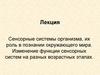 Сенсорные системы организма, их роль в познании окружающего мира. Изменение функции сенсорных систем