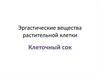 Эргастические вещества растительной клетки