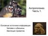 Антропогенез. Основные источники информации. Человек и обезьяны. Эволюция приматов