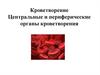 Кроветворение. Центральные и периферические органы кроветворения