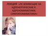 ЛС, влияющие на адренергические R. Адреномиметики, симпатомиметики