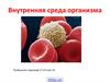 Внутренняя среда организма