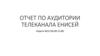 Отчет по аудитории телеканала Енисей