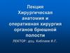 Хирургическая анатомия и оперативная хирургия органов брюшной полости