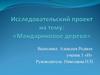 Исследовательский проект на тему: «Мандариновое дерево»