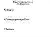 Структура дисциплины «Информатика». Лекции. Лабораторные работы. Экзамен