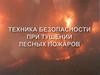Техника безопасности при тушении лесных пожаров