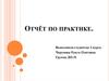 Отчёт по практике в детском саду