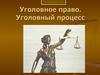 Уголовное право. Уголовный процесс