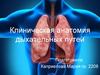 Клиническая анатомия дыхательных путей