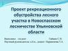 Рекреационное обустройство лесного участка в Новоспасском лесничестве Ульяновской области