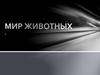 Мир животных