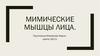 Мимические мышцы лица