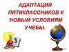 Адаптация 5-х классов к средней школе