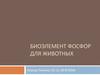 Биоэлемент фосфор для животных
