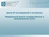 Центр ИТ-исследований и экспертизы. Федеральный реестр государственных и муниципальных услуг
