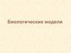 Биологические модели